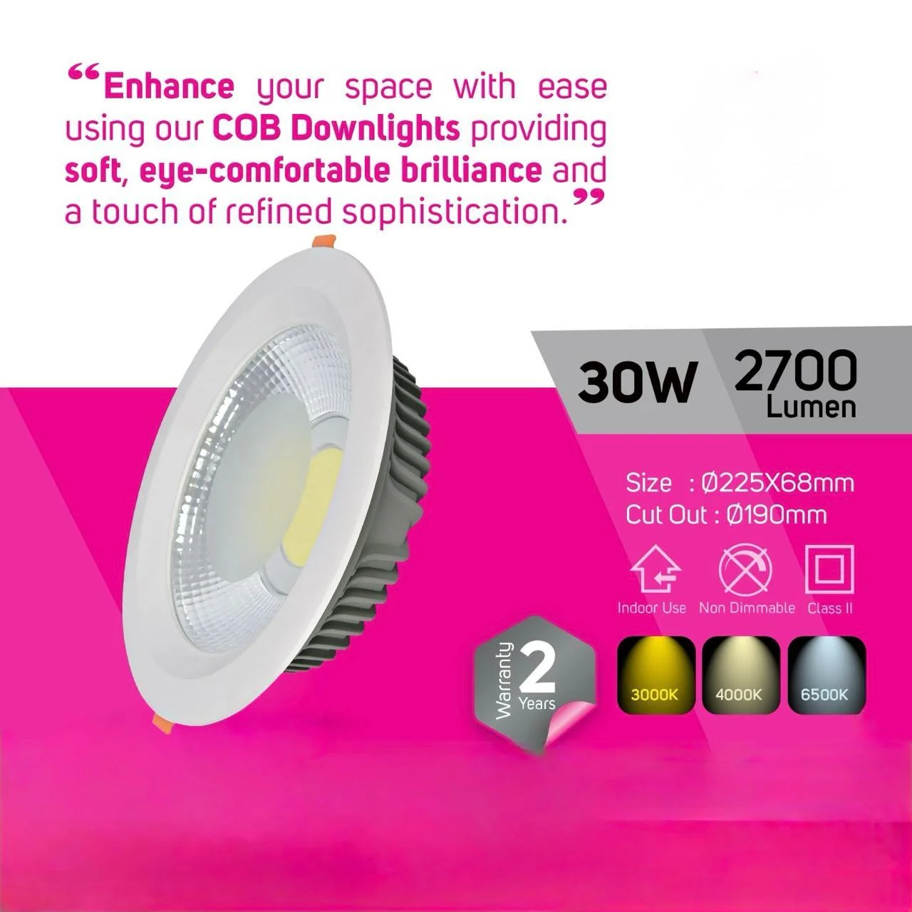 LED Down light